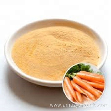 Pure Nature Organic Vegetable Powder Carrot Powder